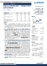 配售电主业盈利能力提升,电解锰和非经损益扰动业绩表现