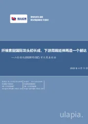 首次覆盖报告：纤维素醚国际龙头初长成，下游高端延伸再造一个赫达