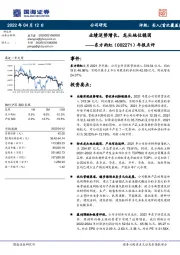 年报点评：业绩逆势增长，龙头地位稳固