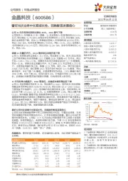 看好光伏业务中长期成长性，回购彰显发展信心