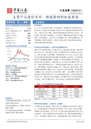 主营产品量价齐升，新能源材料加速布局