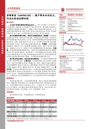 提产降本双向发力,内功扎实迎光辉时刻
