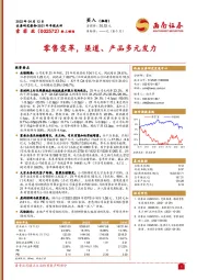 零售变革，渠道、产品多元发力