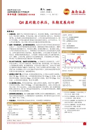 Q4盈利能力承压，长期发展向好