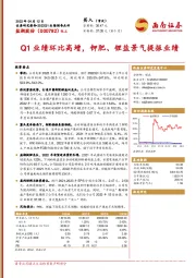 Q1业绩环比高增，钾肥、锂盐景气提振业绩