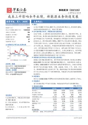 成本上升影响全年业绩，新能源业务快速发展