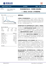 公司深度研究：家居连锁卖场龙头，转型蓄力厚积薄发