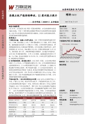 点评报告：高镍正极产能持续释放，Q1盈利能力提升