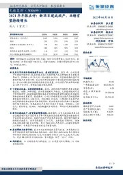 2021年年报点评：新项目建成投产，业绩有望持续增长