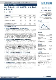 2021年报点评：业绩快速增长，定增落地打开成长空间