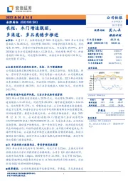 衣柜、木门增速靓丽，多渠道、多品类稳步推进