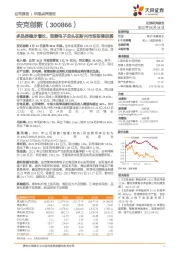 多品类稳步增长,消费电子龙头在新兴市场取得进展