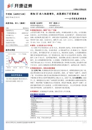 公司信息更新报告：保险IT收入快速增长，政策催化下有望提速