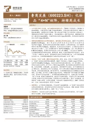 化妆品“4+N”矩阵,持续高成长