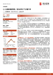 公告点评：Q1业绩高增超预期，锂电材料扩产步履不停