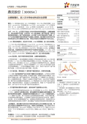 业绩高增长,进入泛半导体材料成长收获期