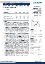 2021年年报点评：业绩符合预期，稳电网基本盘+发力网外铸未来