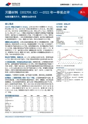 2022年一季报点评：电解液量利齐升，磷酸铁加速布局