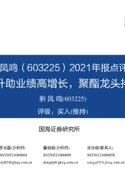 2021年报点评：量价齐升助业绩高增长，聚酯龙头持续扩张