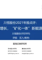 川恒股份2021年报点评:营收利润稳步增长,“矿化一体”新能源项目持续推进