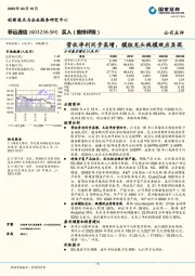营收净利同步高增，模组龙头规模效应显现