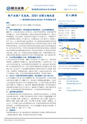 2021年年度报告点评：新产品推广见成效，22Q1业绩大幅改善