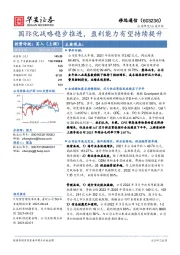 国际化战略稳步推进，盈利能力有望持续提升