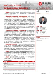 2021年年报点评:业绩受大客户扰动影响,静待后续花开