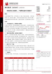 常规营收大幅增长,产能释放盈利有望提升