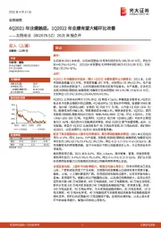 2021年报点评:4Q2021年业绩触底,1Q2022年业绩有望大幅环比改善