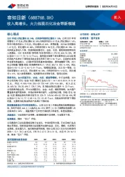 收入高增长，大力拓展石化冶金等新领域