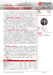 2021年年报点评:泛半导体材料平台化布局,行业龙头地位巩固
