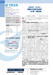 构建自主可控产业体系，“云+数”优势巩固