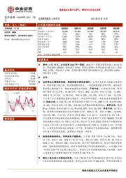 能源高位支撑产品景气,新项目打开成长空间
