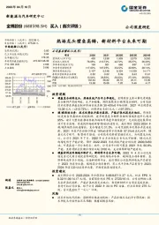 热场龙头壁垒高铸，新材料平台未来可期