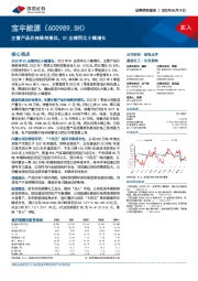主营产品价格维持高位,Q1业绩同比小幅增长