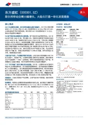 斯尔邦带动业绩大幅增长,大炼化打通一体化发展链条