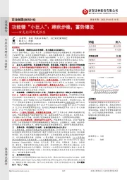 百龙创园深度报告:功能糖“小巨人”:蹄疾步稳,蓄势爆发