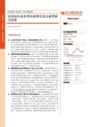 2021年报点评:培育钻石业务带动金刚石龙头盈利能力改善