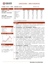 业绩实现高增长,集团化布局成果初现