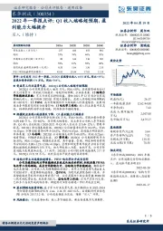 2022年一季报点评：Q1收入端略超预期，盈利能力大幅提升