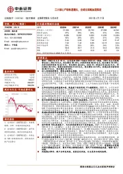 三大核心产线快速增长,全球化战略加速推进