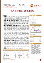 龙头地位稳固，Q1增速放缓