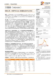 轻装上阵,传统汽车主业+新储能业务齐头并进!
