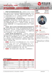 国产科技品牌崛起,扫地机龙头乘风破浪