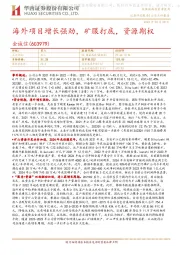 海外项目增长强劲,矿服打底,资源期权
