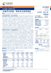 业绩符合预期，钾肥项目持续推进