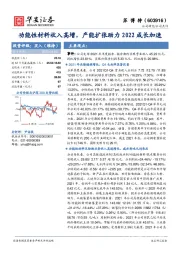 功能性材料收入高增，产能扩张助力2022成长加速