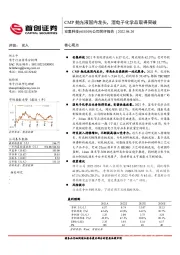 公司简评报告：CMP抛光液国内龙头，湿电子化学品取得突破