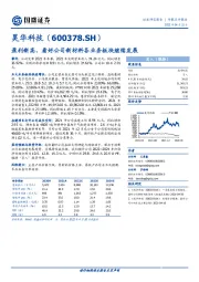 盈利新高,看好公司新材料各业务板块继续发展